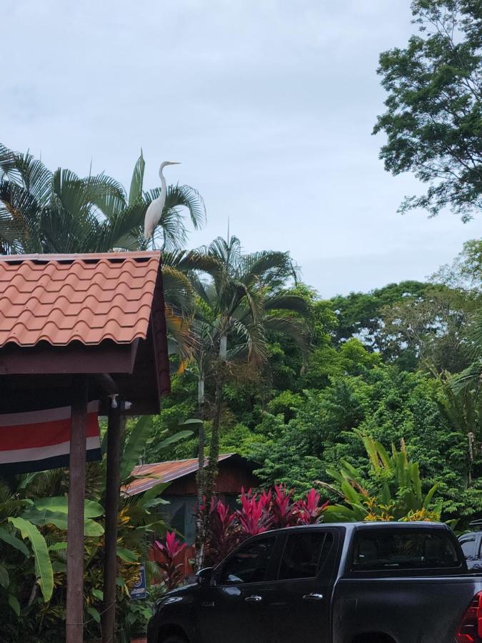 Hotel Canto De Ballenas อูวีตา ภายนอก รูปภาพ